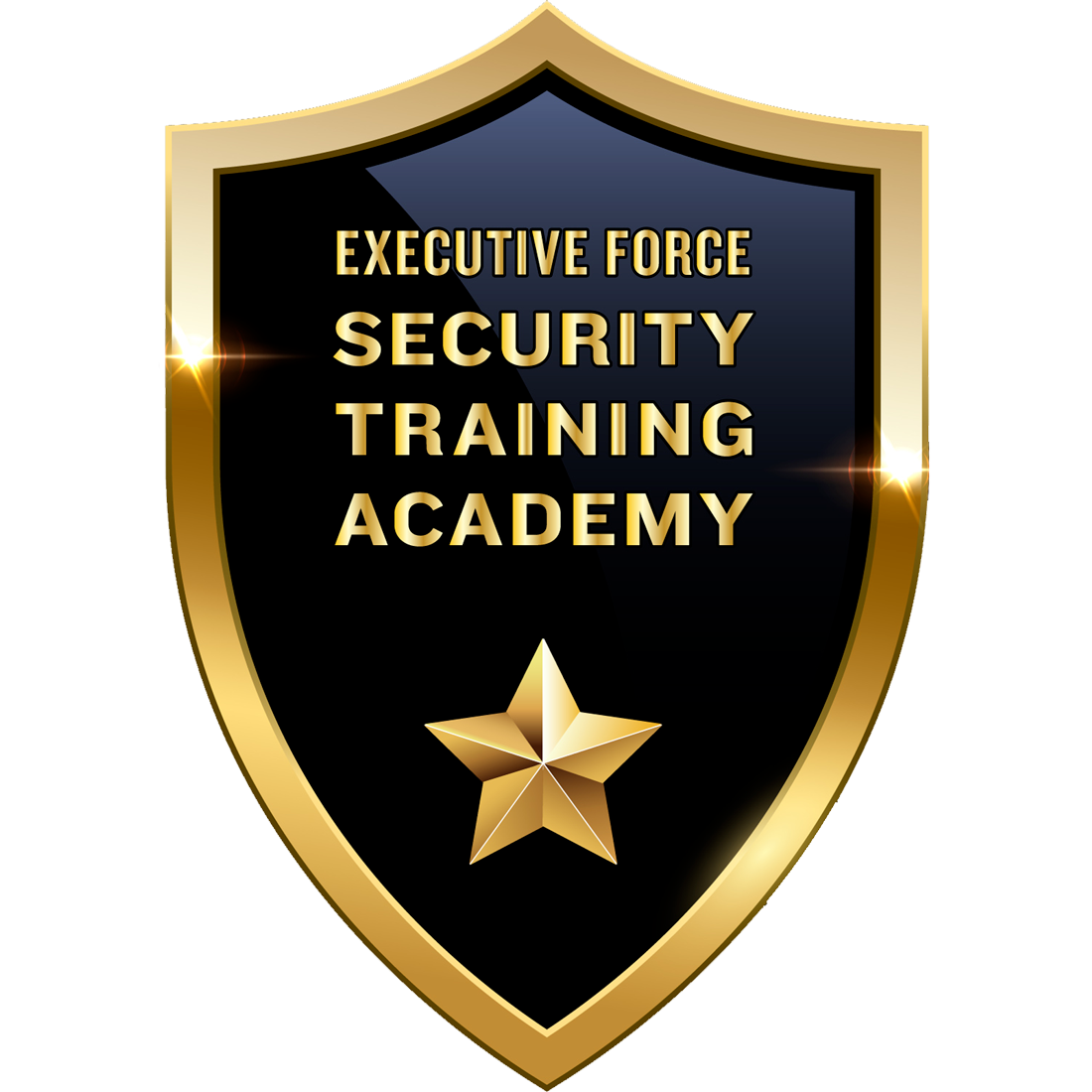 training-executive-force-security